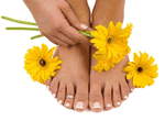 Martinez Reflexologia Reflexologos